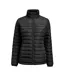 Womens/ladies Arches Padded Jacket Black James Harvest-1
