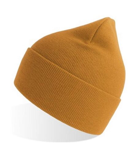 Atlantis Unisex Adult Pure Recycled Beanie (Mustard Yellow) - UTAB549