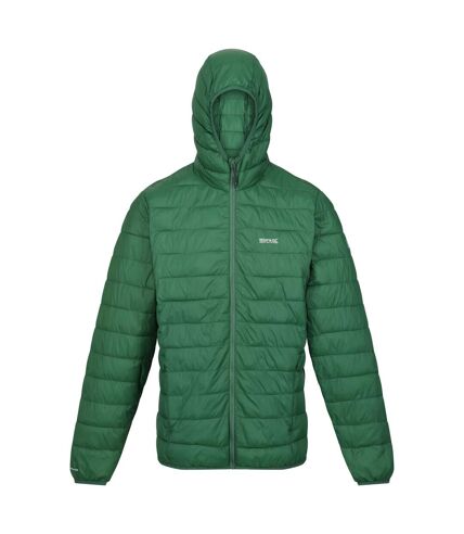 Regatta - Veste HILLPACK - Homme (Vert) - UTRG8445