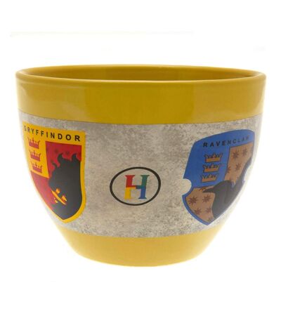 Harry Potter - Mug sans anse (Multicolore) (Taille unique) - UTTA9200