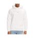 Sweat à Capuche Blanc Homme Tommy Hilfiger Linear Gold - L-1