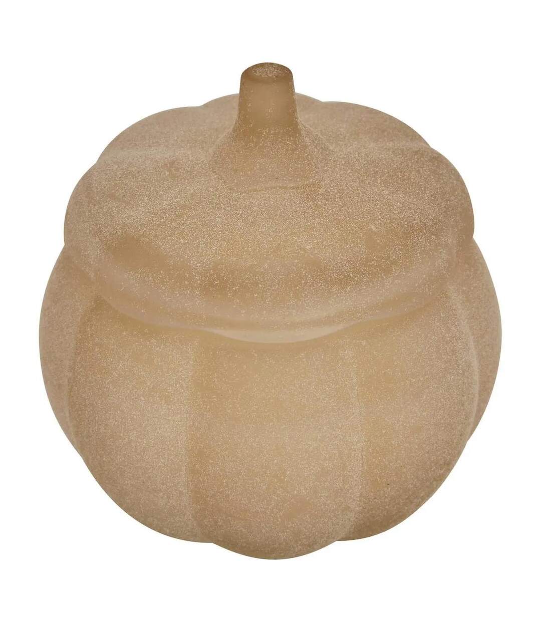 Bougie Parfumée en Verre Citrouille 100g Sapin & Eucalyptus-1