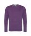 AWDis Hoods Mens Long Sleeve Washed Look Sweatshirt (Washed Purple)