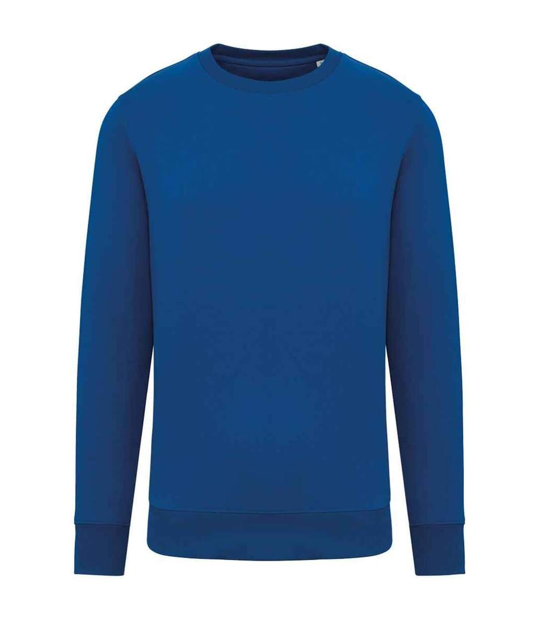 Unisex adult crew neck sweatshirt sea blue Native Spirit-1