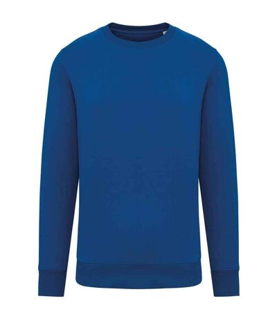 Unisex adult crew neck sweatshirt sea blue Native Spirit