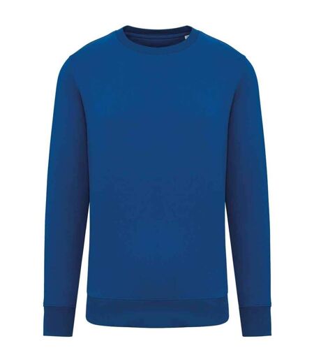 Unisex adult crew neck sweatshirt sea blue Native Spirit