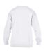 Sweatshirt enfant blanc Gildan-4
