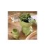 Cache-Pot Déco en Dolomite Grenouille 21cm Vert-3