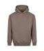 Sweat À Capuche Vision Homme Beige Argile Awdis-1