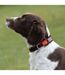 Weatherbeeta - Collier pour chiens THERAPY-TEC (Noir / Rouge) (XL) - UTWB1543