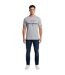 Unisex Adult Bearman F1 T-shirt Grey AWD-1