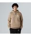 Mens Drew Pull Over Hoodie Mushroom The North Face-3