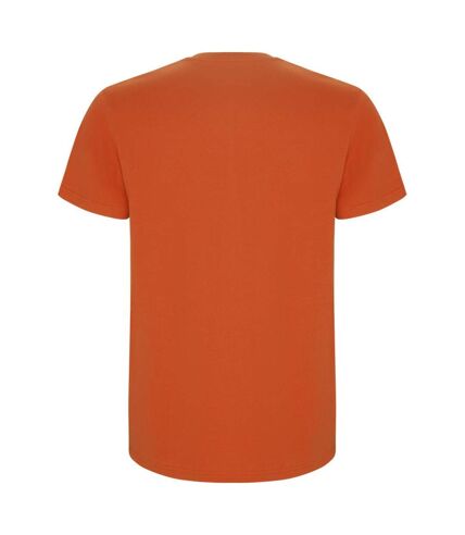 Roly - T-shirt STAFFORD - Homme (Orange) - UTPF4347