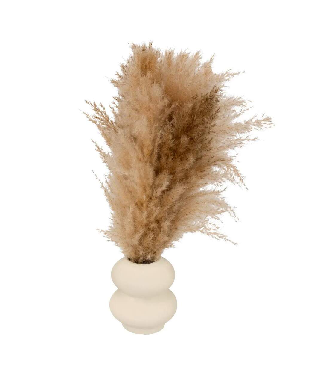 Composition Pampa Artificielle Glen 42cm Blanc-1