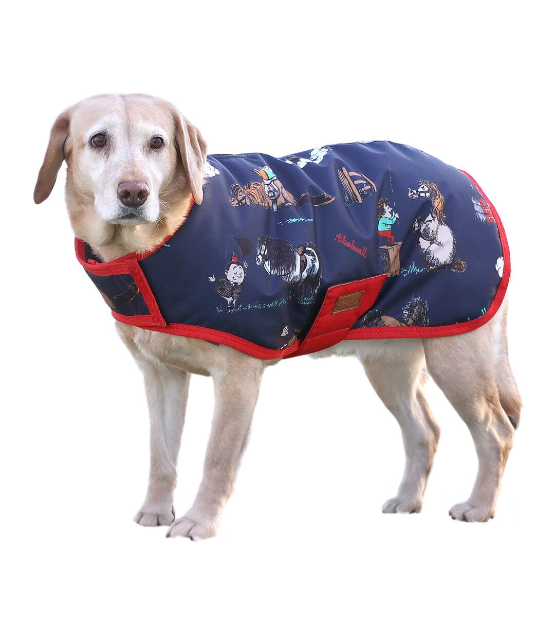 Benji & flo practice makes perfect dog coat xxl navy/red Thelwell