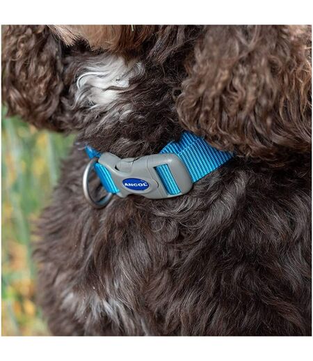 Viva adjustable dog collar 20cm 30cm blue Ancol
