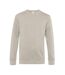 Pull king homme gris clair B&C