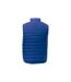 Mens Pallas Insulated Bodywarmer Blue Elevate-2