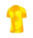 Mens Gardien Iv Goalkeeper Jersey Yellow Nike-2