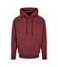 Sweat À Capuche Homme Pourpre Urban Classics-1