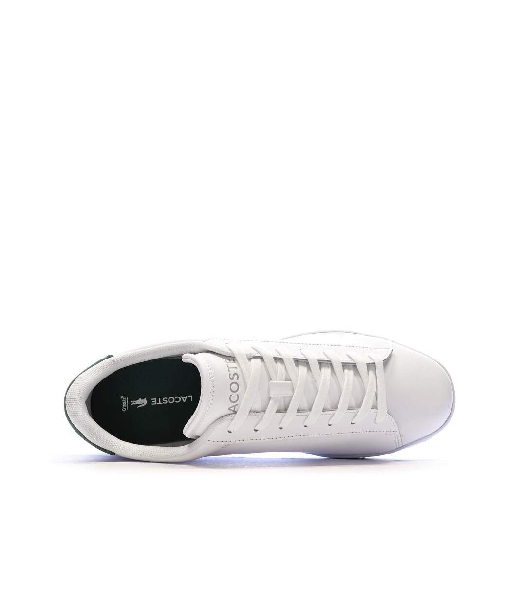 Baskets blanches/verte homme lacoste carnaby set 224 1 sma-4
