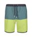 Regatta Mens Benicio Swim Shorts (Sea Pine/Green Algae)