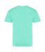 AWDis Just Ts Mens The 100 T-Shirt (Peppermint) - UTPC4081