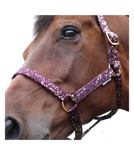 Enchanted collection head collar & lead rope full plum/rose gold Hy