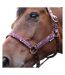 Enchanted collection head collar & lead rope full plum/rose gold Hy-2