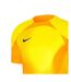 Mens Gardien Iv Goalkeeper Jersey Yellow Nike-3