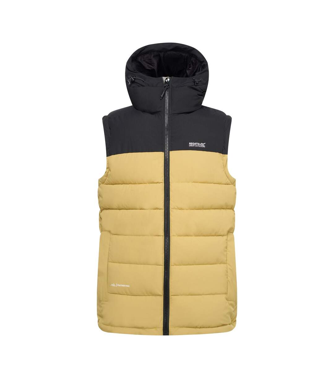 Veste Sans Manches À Capuche Aldthorn Homme Beige Noir Regatta-2