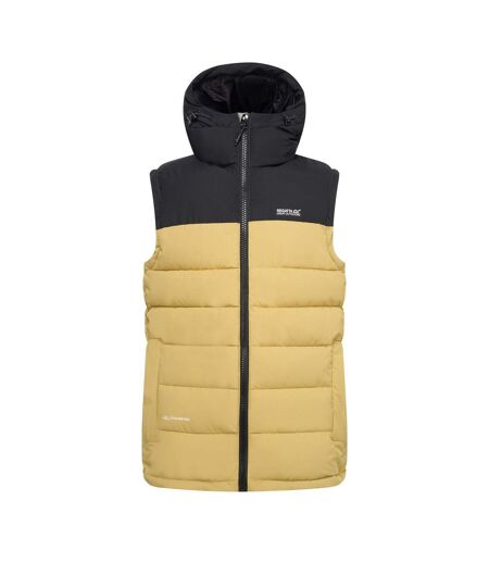 Veste Sans Manches À Capuche Aldthorn Homme Beige Noir Regatta