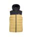 Veste Sans Manches À Capuche Aldthorn Homme Beige Noir Regatta-2