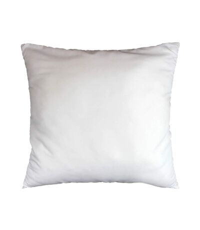 Oreiller en Polyester Anti Acarien 60x60cm Blanc