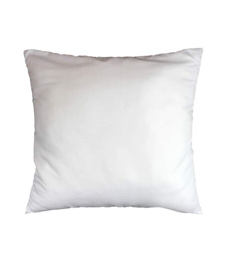 Oreiller en Polyester Anti Acarien 60x60cm Blanc