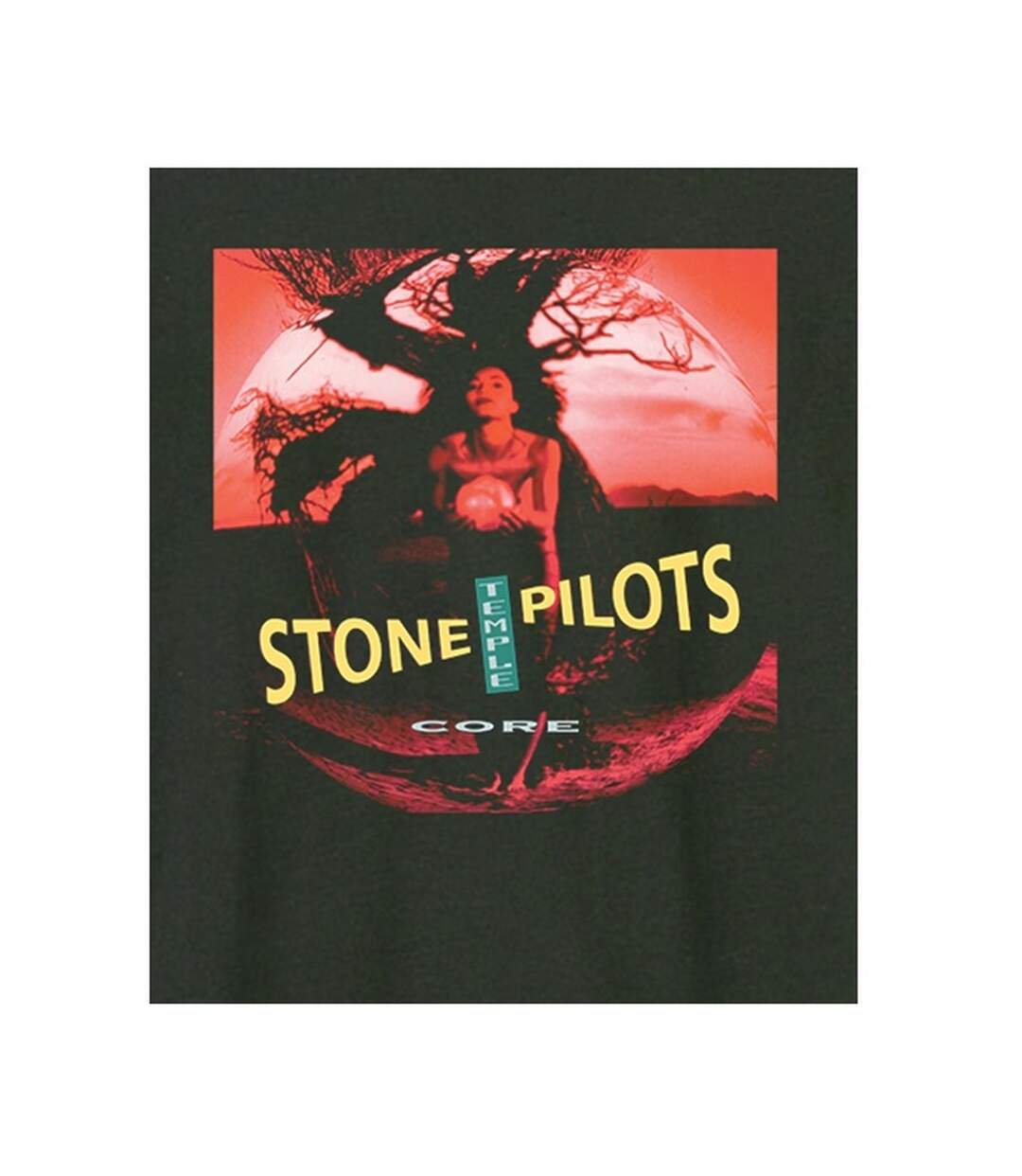 T-shirt Core Album Cover Adulte Charbon Amplified-2