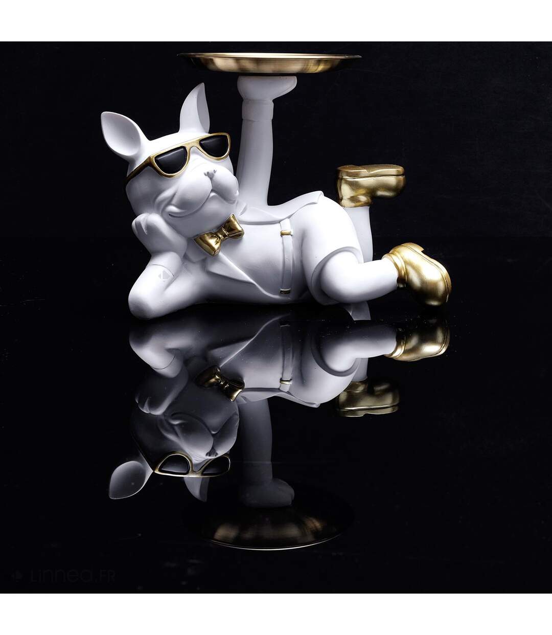 Vide poche collection BULLDOG-3