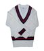Carta Sport Mens Cricket Sweater (White/Navy/Red) - UTCS481