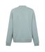 Sweat Manches Raglan Delastcrew Homme Vert Pastel Hugo Boss-3
