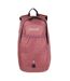 4 gallon bedabase ii backpack one size dusty rose Regatta