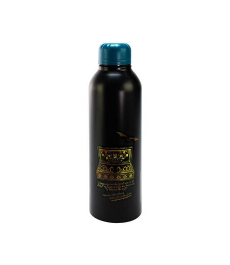 Harry Potter Steel 23.6floz Water Bottle (Black/Gold) (One Size) - UTBS3726