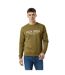 Sweat Motif/style Logo Brodé Belvue Homme Feuille Jack Wills-4