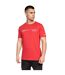 Crosshatch Mens Baxley T-Shirt (Pack of 2) (Red/Black)