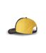 Casquette baseball Dragon Ball Z Vegeto Freegun-3