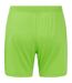 Womens/ladies Aston Villa Fc Goalkeeper Shorts Green Caviar Castore-2