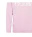 Mens Charlotte Pullover Hoodie Baby Pink AWD-4