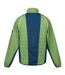 Regatta Mens Steren II Softshell Hybrid Jacket (Piquant Green/Moroccan Blue/Citron Lime) - UTRG10503