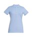 Brook Taverner Womens/Ladies Arlington Cotton Polo Shirt (Sky Blue Marl) - UTPC5221