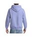 Mens hoodie heliconia Gildan-1