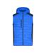 Veste Sans Manches Homme Bleu Bleu Marine James And Nicholson-1